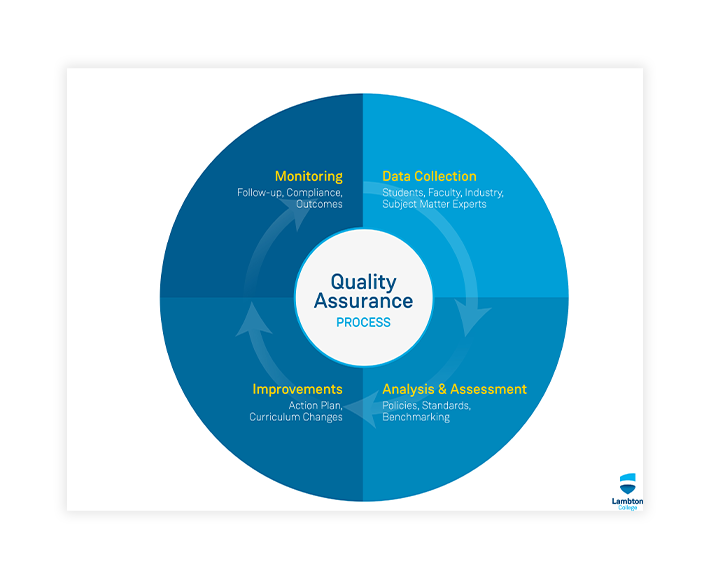Quality Assurance process PDF