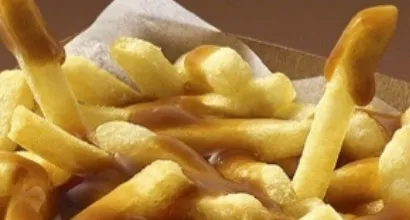 A plate of fresh french fries with gravy on top.