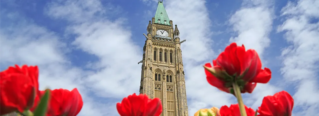 A photo of parliment hill with flowers in the forground.