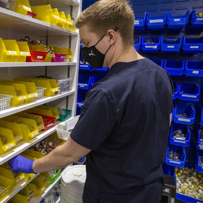 Student in simulated pharmacy lab looking through medications.