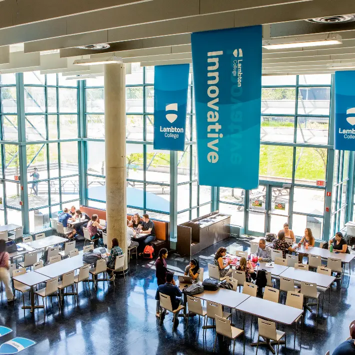 Students eating in the cafeteria
