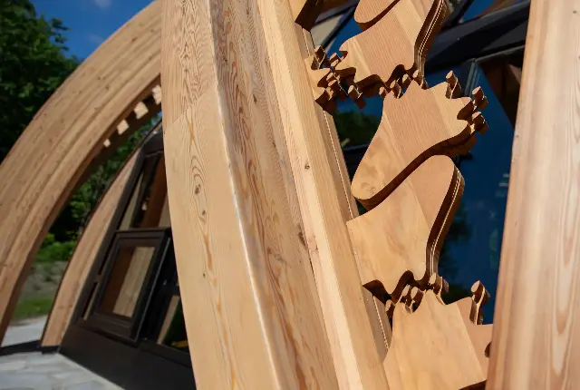 Indigenous Outdoor Space - Exterior Detail