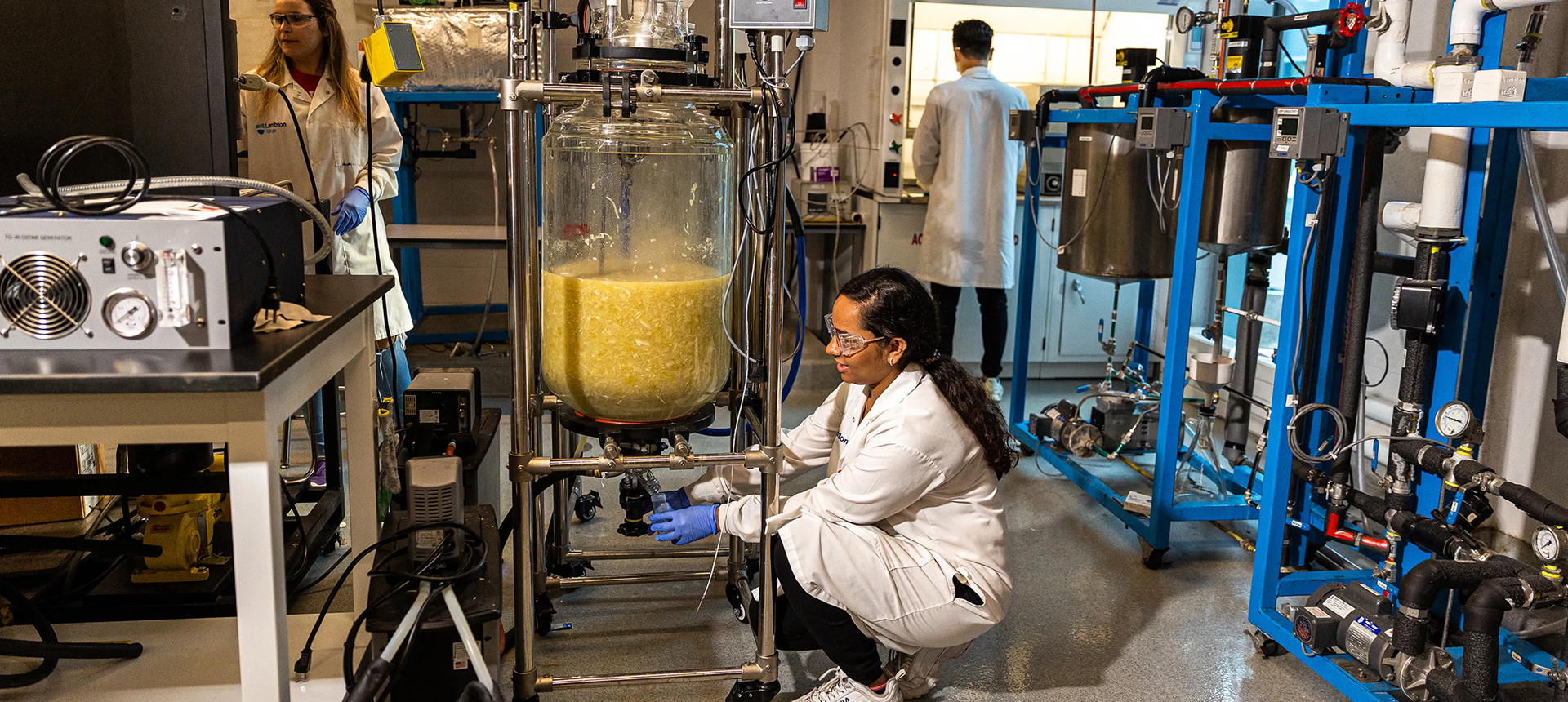 Lambton College Research Student working in Food and Beverage