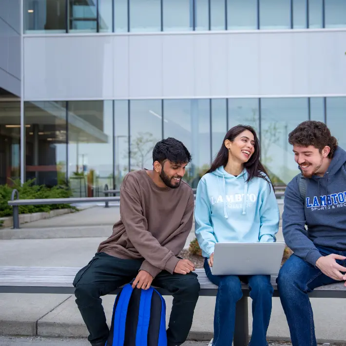 Students studying outside on campus